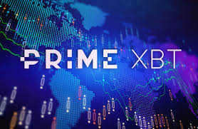 Comprehensive Guide to Wallet PrimeXBT - Features and Benefits